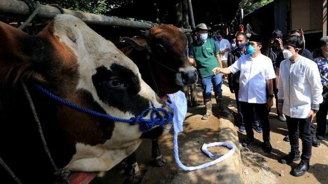 Kamrussamad: Idul Adha, Momentum Pejabat Berkorban untuk Selamatkan Rakyat