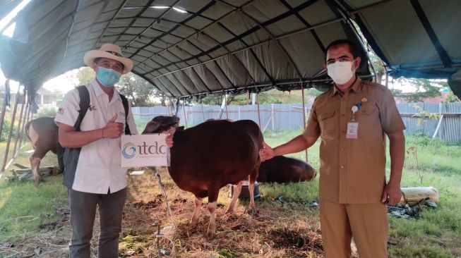 ITDC menyumbang belasan binatang ternak untuk Idul Adha. (Dok. ITDC)