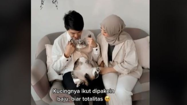 Viral Pasangan Ini Ingin Foto Prewedding Bareng Kucing, Publik: Otw Bawa Botol Cupang