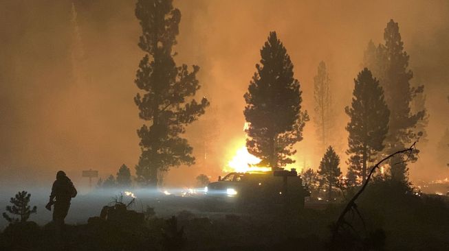 Api membakar pohon-pohon yang ada di hutan dekat Paisley, Oregon, Amerika Serikat, Selasa (20/7/2021). [AFP/Photo]