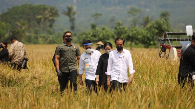 Pembentukan Bappanas Tak Efektif, Pemerhati Pangan: Akan Terjadi Tumpang Tindih Kewenangan