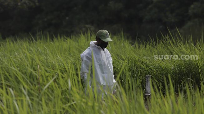 Petugas bersiap untuk memakamkan jenazah yang meninggal dunia karena COVID-19 di TPU Tegal Alur, Jakarta, Jumat (23/7/2021). [Suara.com/Angga Budhiyanto]