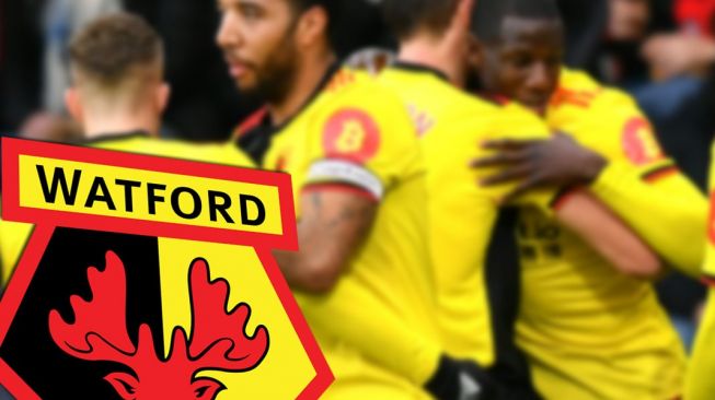 Dibayar Dogecoin, Klub Bola Watford dan Stake.com Umumkan Kemitraan Baru