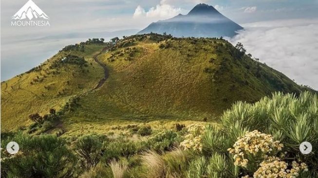 Suguhkan Pemandangan Eksotis, Ini 7 Gunung di Jawa Tengah yang Wajib Kamu Daki