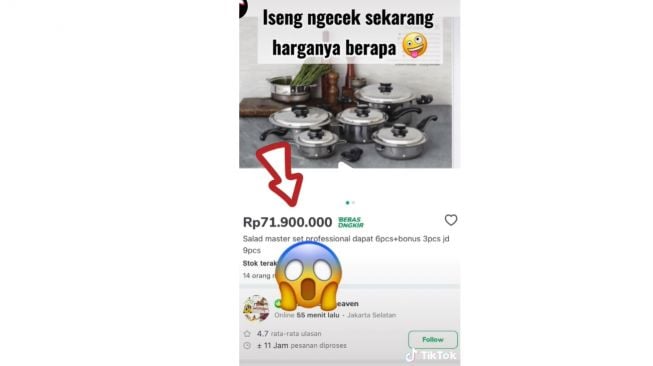 Beli Panci Harga Puluhan Juta (TikTok)