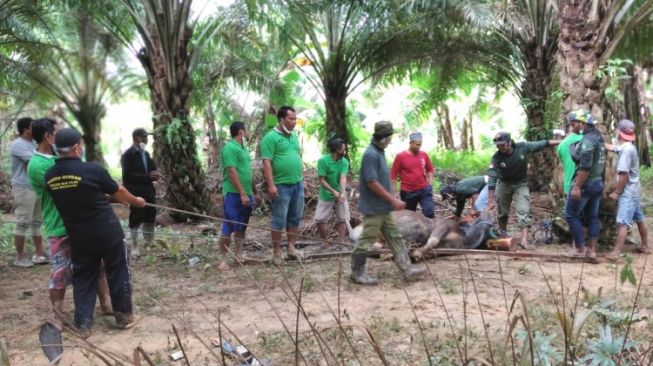 Dr Hartono: Idul Qurban Membangun Kesolehan
