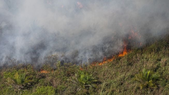 Kebakaran Lahan di Ogan Komering Ilir