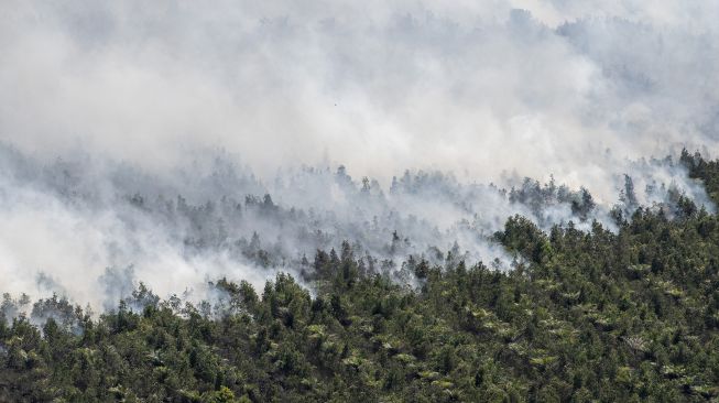 Asap membubung ke udara dari lahan perkebunan kelapa sawit yang terbakar di Pedamaran, Ogan Komering Ilir (OKI), Sumatera Selatan, Senin (26/7/2021). ANTARA FOTO/Nova Wahyudi
