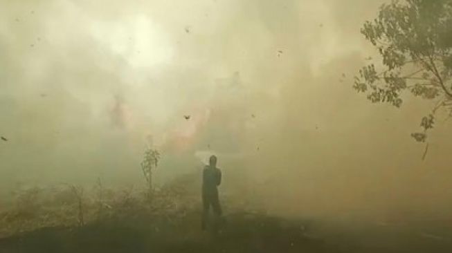 209 Titik Panas Terpantau di Sumatera, Riau Salah Satu Penyumbangnya