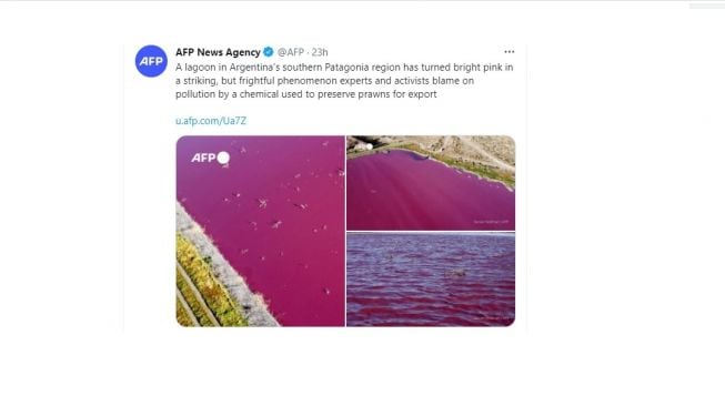 Corfo Lagoon, Argentina berubah menjadi merah muda atau pink. [Twitter]