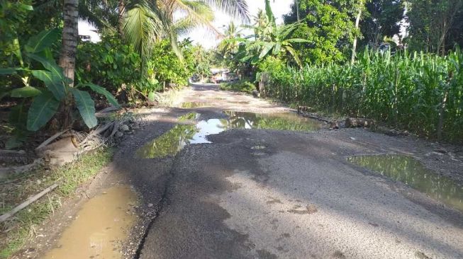 Warga Minta Pemda Mamuju Beri Perhatian Jalan Desa Tarailu dan Desa Losso