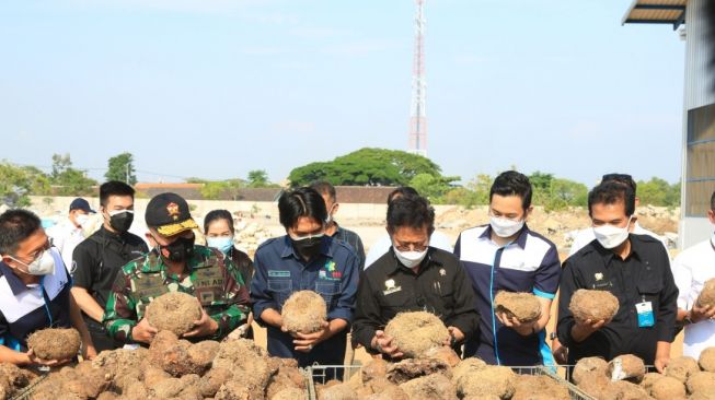 Tak Cuma Penghasil Porang, Mentan Minta Madiun Jadi Sentra Industri Olahan