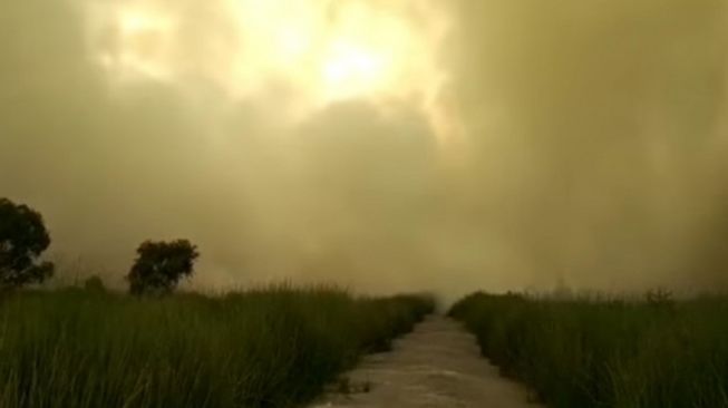 Bahaya! Kabut Asap Karhutla Mulai Selimuti Banjarbaru