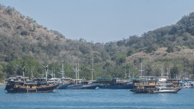 Sejumlah kapal wisata pinisi lego jangkar di perairan dekat Dermaga Labuan Bajo, Manggarai Barat, Nusa Tenggara Timur, Jumat (30/7/2021). [ANTARA FOTO/Muhammad Adimaja]