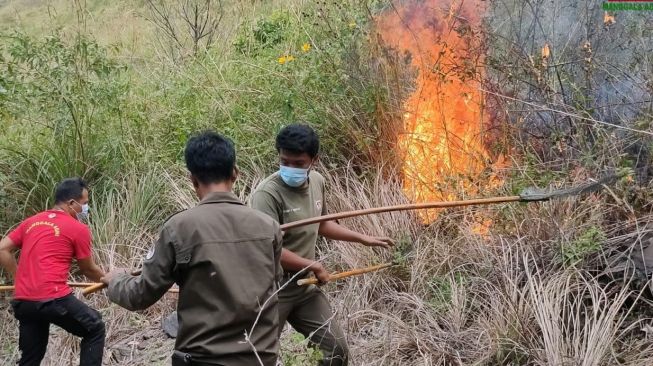 Karhutla di Dairi dan Karo, Puluhan Hektare Lahan Hangus Terbakar