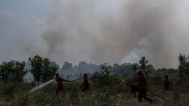 Petugas dari Manggala Agni Daops Banyuasin berusaha memadamkan kebakaran lahan di Desa Palem Raya, Indralaya Utara, Ogan Ilir (OI), Sumatera Selatan, Sabtu (31/7/2021). [ANTARA FOTO/Nova Wahyudi]