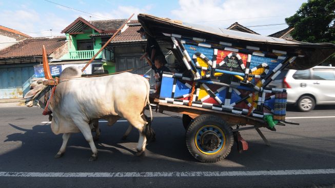 Warga yang menggunakan transportasi gerobak sapi saat melintas di jalan Boyolali-Jatinom, Tulung, Klaten, Jawa Tengah, Minggu (1/8/2021).  ANTARA FOTO/Aloysius Jarot Nugroho