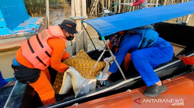 Jasad Bayi Ditemukan Mengapung di Aliran Sungai Telang, Setelah Tiga Hari Hilang Tenggelam