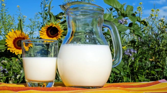 Benarkah Minum Susu Bisa Tingkatkan Kadar Kolesterol? Ini Faktanya!