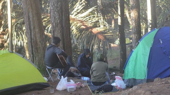 Hutan Pinus Puncak Dulamayo, Destinasi Wisata Pilihan dengan Nuansa Alami