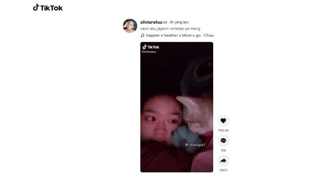 Aksi sweet kucing hapus air mata pemiliknya. [TikTok]