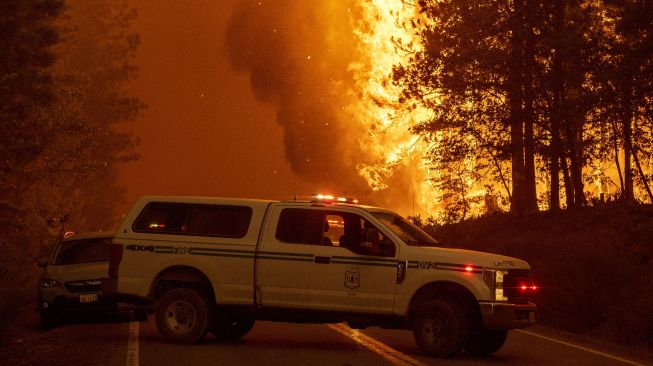 Petugas pemadam kebakaran menjauh dari api yang menjulang saat kebakaran di Dixie, Greenville, California, pada (3/8/2021). [JOSH EDELSON / AFP]