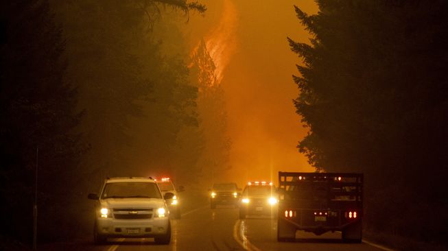 Petugas pemadam kebakaran memantau tempat kejadian kebakaran di Dixie, Greenville, California, pada (3/8/2021). [JOSH EDELSON / AFP]