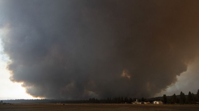 Asap hitam mengepul dari kebakaran hutan di Dixie, Greenville, California, pada (3/8/2021). [JOSH EDELSON / AFP]