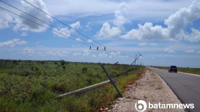 Duh Bahaya, Tiang Listrik Jalan Trans Batubi-Kelarik Banyak yang Tumbang
