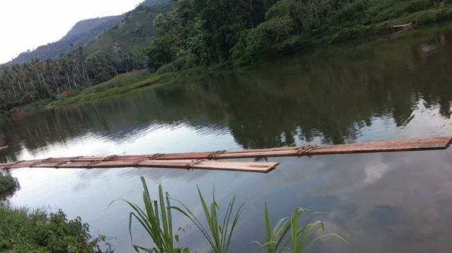 Pengolahan Kayu Ilegal di Desa Busato, DPRD Bolmut Menilai Dishut Cuek