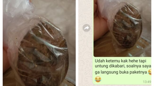 Bungkus Pesanan saat Makan Siang, Admin Olshop Malah Keliru Masukkan Benda Ini ke Paket