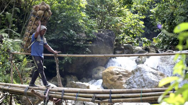 Petani melewati jembatan darurat dengan membawa buah durian hasil panen di Samadua, Aceh Selatan, Aceh, Sabtu (7/8/2021). [ANTARA FOTO / Irwansyah Putra]