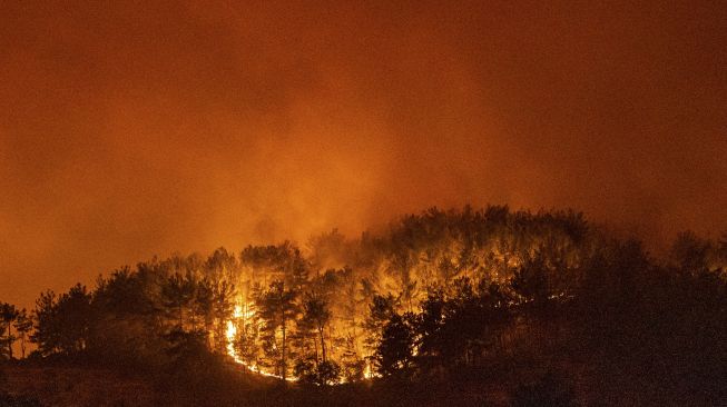 Kobaran api dari kebakaran hutan di desa Akcayaka, Milas, Provinsi Mugla, Turki, pada (6/8/2021). [Yasin AKGUL / AFP]