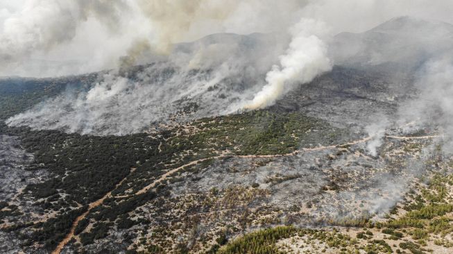 Foto udara menunjukkan asap mengepul dari area hutan yang terbakar di desa Ikizce, Provinsi Mugla, Turki, pada (6/8/2021). [Yasin AKGUL / AFP]