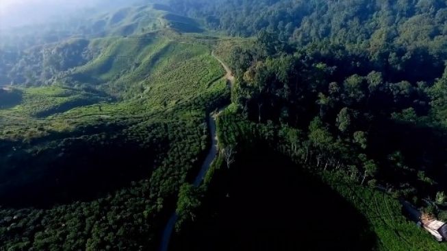 Tawarkan Alternatif Wisata Puncak Bogor, Ade Yasin Andalkan Kawasan Nanggung