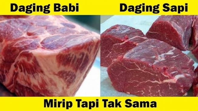 Ilustrasi perbedaan daging babi dan daging sapi. [Youtube]