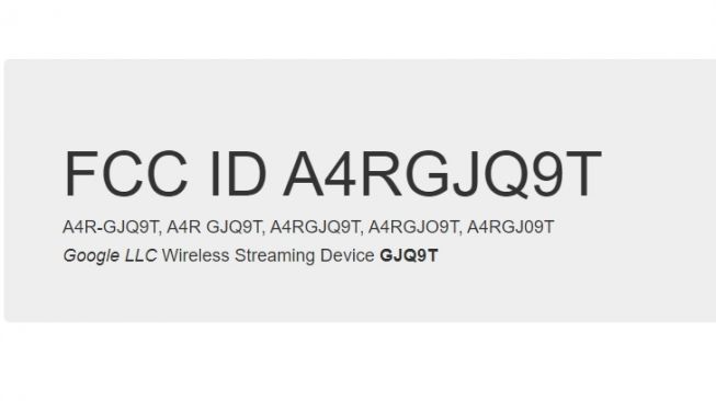 Bocoran perangkat misterius Google. [FCC]
