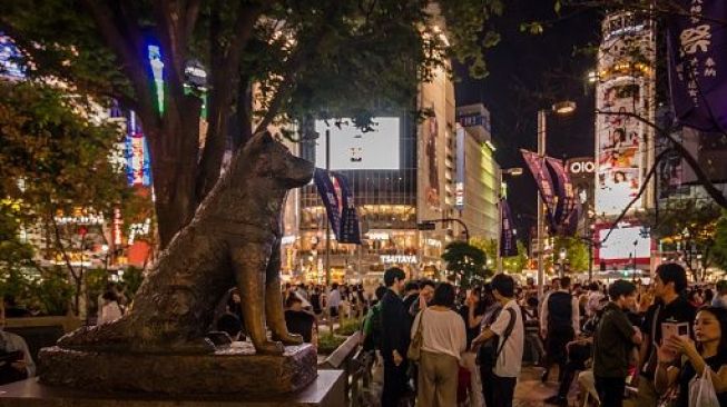 Hachiko: Anjing Paling Setia Menunggu Tuannya yang Sudah Meninggal Dunia