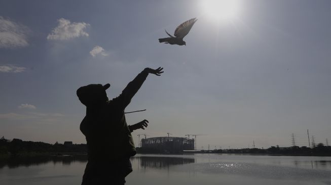 Warga melatih burung merpati dengan latar belakang proyek pembangunan Jakarta International Stadium (JIS) di tepi Danau Cincin, Papanggo, Tanjung Priok, Jakarta, Kamis (12/8/2021). [Suara.com/Angga Budhiyanto]