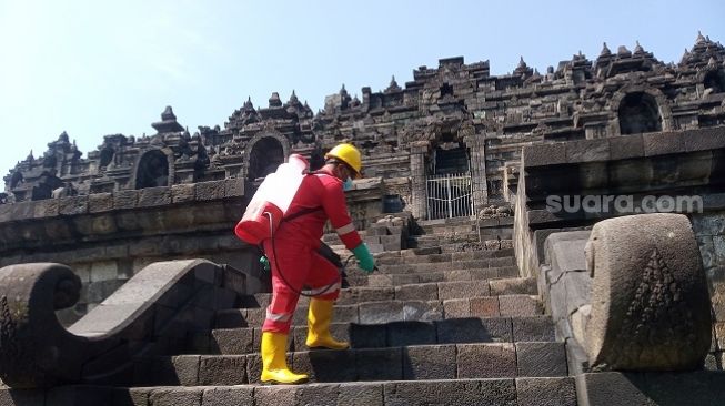 Kegiatan penyemprotan minyak astiri untuk mencegah jamur pada batuan Candi Borobudur. [Suara.com/ Angga Haksoro Ardhi]