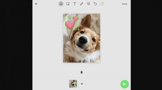 Fitur baru WhatsApp edit foto. [Android Police]