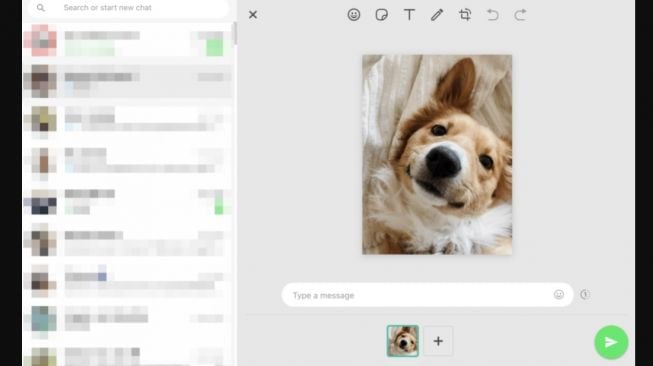 Fitur baru WhatsApp edit foto. [Android Police]