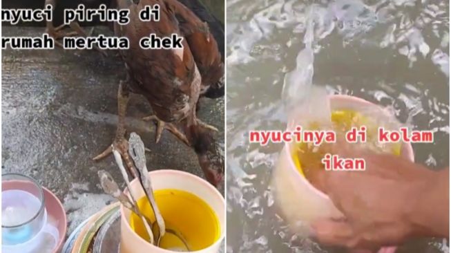 Cuci Piring di Rumah Mertua Pakai Air Kolam Ikan, Alasannya Bikin Publik Emosi