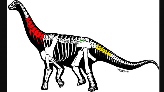 Silutitan sinensis. [Nature.com]