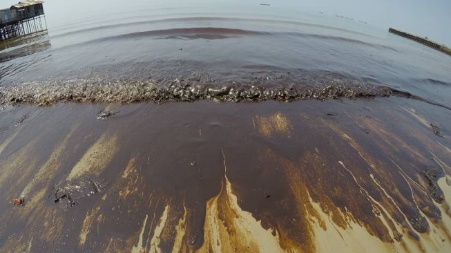 Tumpahan minyak di Teluk Balikpapan menimbulkan kerusakan biodata laut yang sangat parah. [kaltimtoday.co]