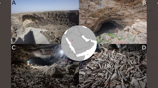 Tumpukan Tulang Manusia dan Hewan Berusia 7 Ribu Tahun Ditemukan Menggunung Dalam Gua