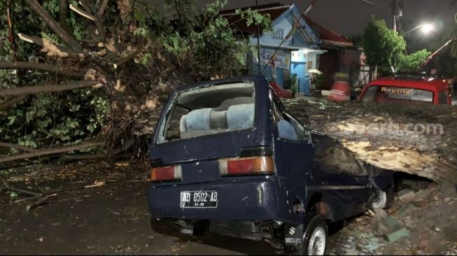 Hujan Lebat, Mobil Carry Nyaris Terbelah Tertimpa Pohon Tumbang, Ini Kondisi Penumpangnya