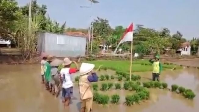 Viral Petani Upacara Bendera Merah Putih di Tengah Sawah, Bikin Publik Terharu