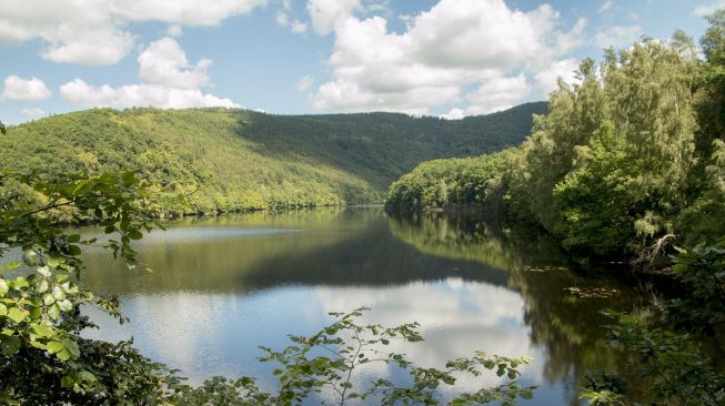 5 Taman Nasional di Jerman yang Wajib Dikunjungi, Ada Bekas Tempat Perang Dunia II