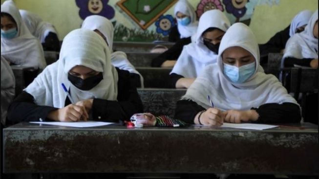 Kuliah di Afghanistan Era Taliban: Wanita Pakai Niqab dan Kelas Dipisah